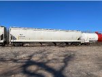 TILX 620586